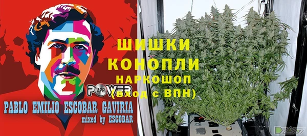 apvp Вязьма