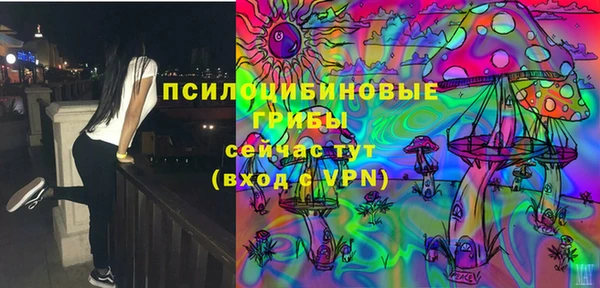 дживик Вязники