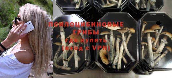 дживик Вязники