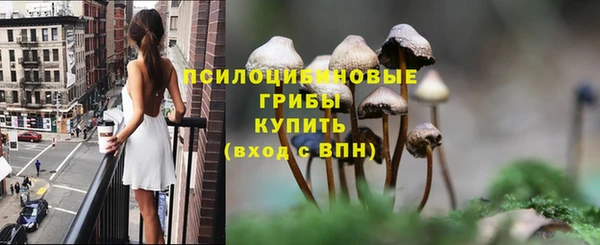 дживик Вязники